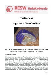 Testbericht Hippotech Glue-On-Shoe - BESW Hufakademie