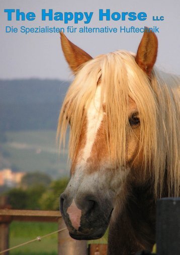 The Happy Horse - Utes-pferdeecke.de