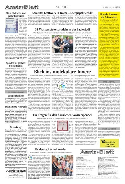 Amtsblatt Nr. 11 vom 14.06.2012 - Saale - Stadt Halle (Saale)