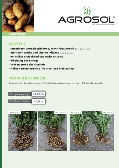 Kartoffel - AGROsolution
