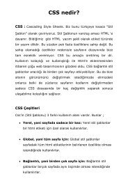 CSS nedir?