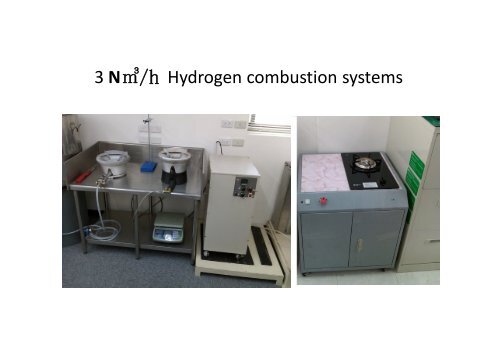 Hydrogen Burning System