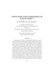structure and combustion of magnegases