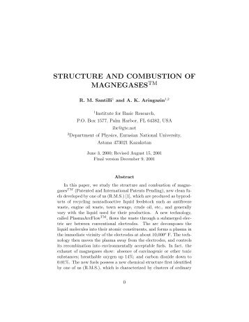 structure and combustion of magnegases