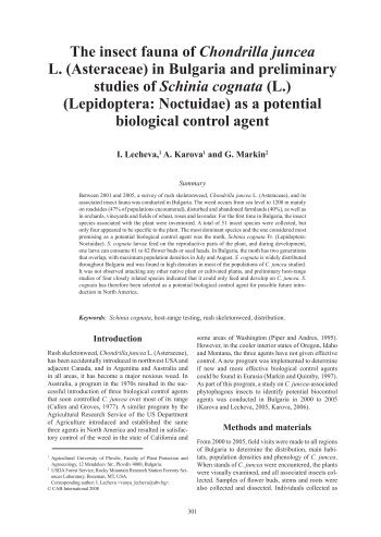 The insect fauna of Chondrilla juncea L. (Asteraceae ... - Invasive.org