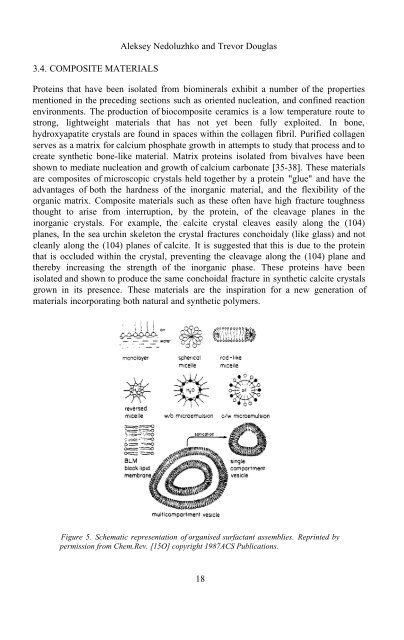 Physics And Chemistry Basis Of Biotechnology - De Cuyper - tiera.ru