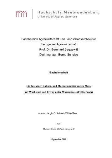 Bachelorarbeit Michael Guhl - Hochschule Neubrandenburg