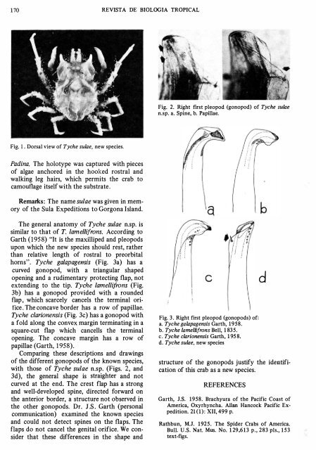 a new spider crab from Gorgona Island, Colombia Henry von Prahl ...