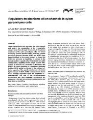 Regulatory mechanisms of ion channels in xylem parenchyma cells