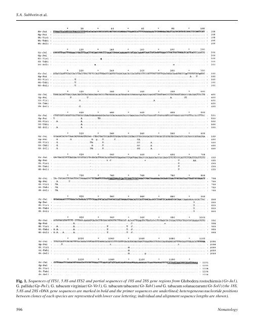 Variations in ribosomal DNA sequences and phylogeny of - Russian ...