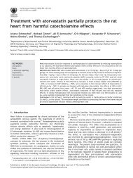 Treatment with atorvastatin partially protects the rat heart from ...