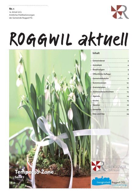 14. Januar 2013 - Gemeinde Roggwil