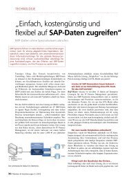 Einfach, kostengünstig und flexibel auf SAP-Daten zugreifen 