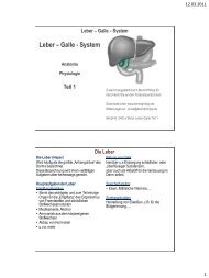 2401a_skript_leber_galle_teil1.pdf