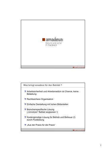 amadeus (PDF 352 KB) - basik-net