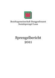 Sprengelbericht 2011 - Bezirksgemeinschaft Burggrafenamt