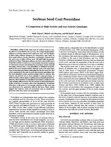 Soybean Seed Coat Peroxidase - Plant Physiology