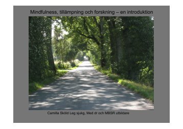 Mindfulness, tillämpning & forskning - Center for Mindfulness Sweden