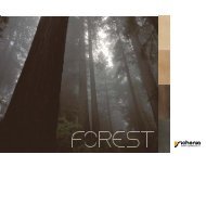 Forest - Sichenia