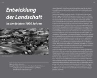 Entwicklung der Landschaft - Alte Salzstrasse