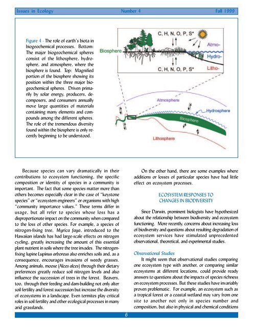 Biodiversity and Ecosystem Functioning - Ecological Society of ...