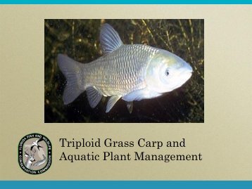 2011 Grass Carp Presentation - Florida Invasive Species Partnership