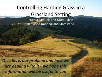 Controlling harding grass (Phalaris aquatica)