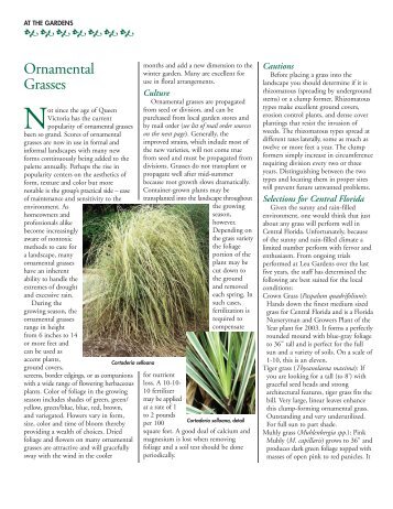 Ornamental Grasses - Harry P. Leu Gardens