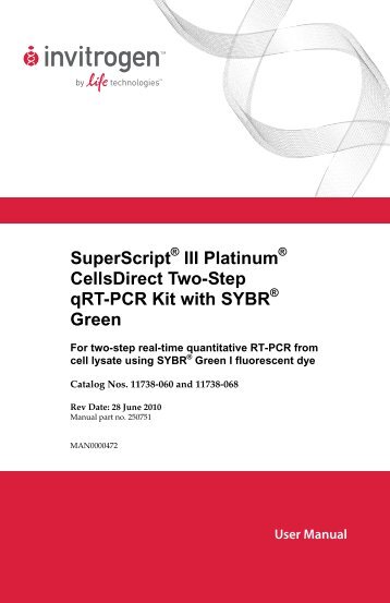 SuperScript III Platinum CellsDirect Two-Step qRT-PCR - Invitrogen