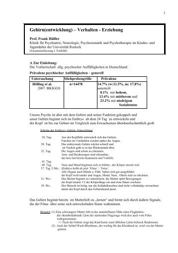 Gehirn(entwicklung) – Verhalten - Erziehung - Universität Rostock