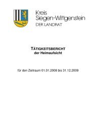 Tätigkeitsbericht 2008-2009 - Zukunftsinitiative Siegen-Wittgenstein ...