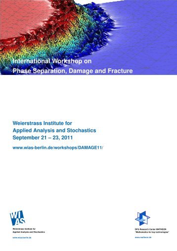 International Workshop on Phase Separation, Damage and ... - WIAS