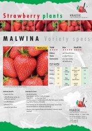 MALWINA Variety specs Strawberry plants - Kraege.de