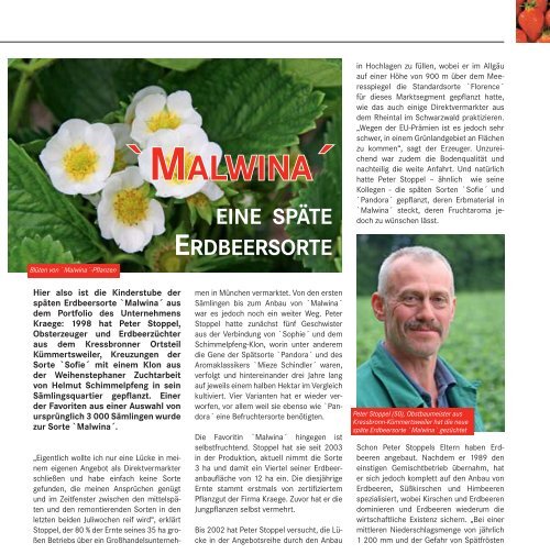 `MALWINA´ `MALWINA´ - Kraege.de