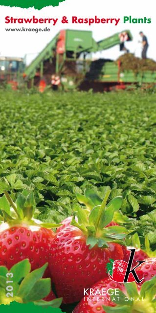 Strawberry & Raspberry Plants KRAEGE - Kraege.de