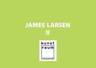 JAMES LARSEN II - kunst-raum / schulte-goltz + noelte