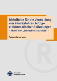 GUV 19.7 - Richtlinien für die Vermeidung von Zündgefahren infolge ...