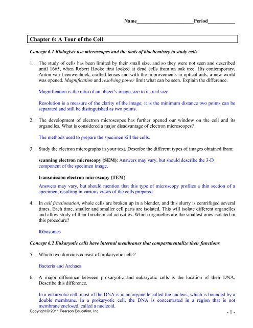 epub the handbook of economic sociology second edition