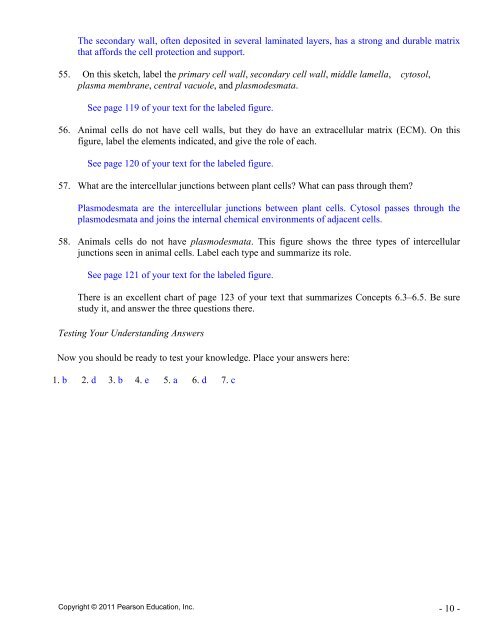 c9e_answers_active_reading_06