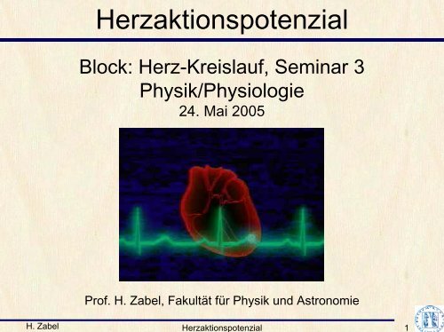 Seminar1 Herzaktionspotential Arbeitsdiagramm Grundformen