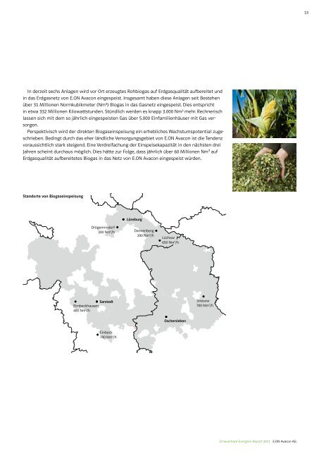 Erneuerbare-Energien-Report 2011 - E.ON Avacon AG