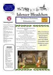 Download als pdf - Ehlenz.Live