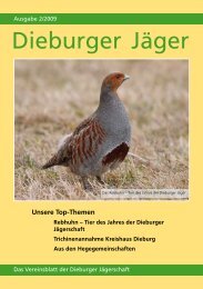 Dieburger Jägers 02/2009 - Jägerschaft der Dieburger Jäger eV