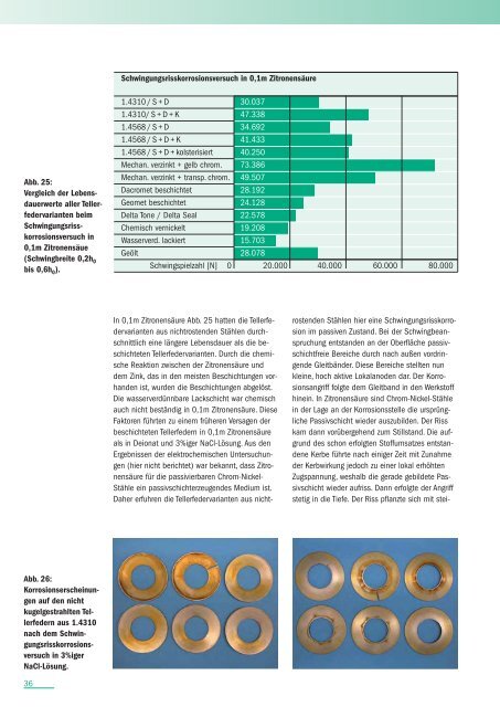 KORROSIONSVERHALTEN VON TELLERFEDERN