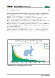 New Companion Animals - Bayer Animal Health