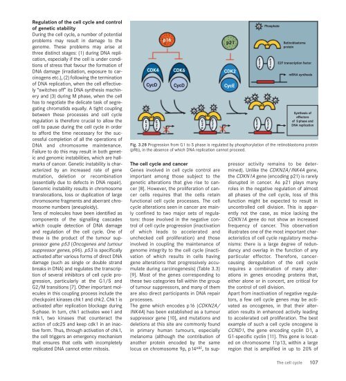 world cancer report - iarc