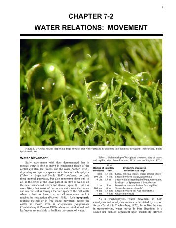 CHAPTER 7-2 WATER RELATIONS: MOVEMENT - Bryophyte Ecology