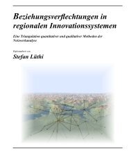 Beziehungsverflechtungen in regionalen Innovationssystemen