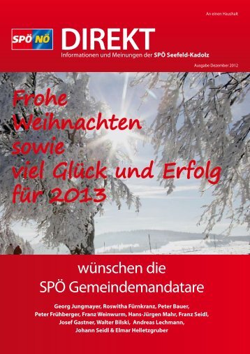 Frohe Weihnachten sowie viel Glück und Erfolg für 2013 - SPÖ