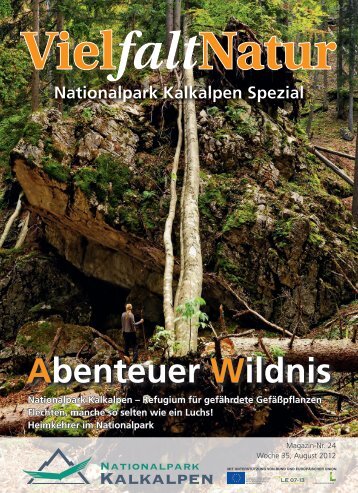 Flechten, manche so selten wie ein Luchs! - Nationalpark Kalkalpen